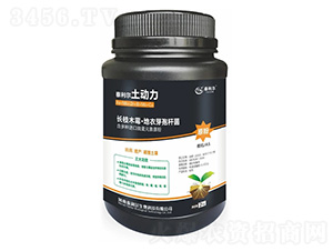 ΢�������-����(d��ng)��-̩����