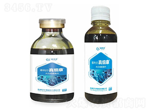 ��ϼ�(x��)������-�漚(x��)��-̩����