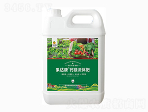 ���_(d��)���}�V���w��-���_(d��)���ʘI(y��)