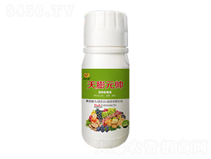 100g�I(y��ng)�B(y��ng)������~���-����Ԫ��-���_(d��)���ʘI(y��)