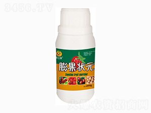 �������(j��)��_ʩ��-�����Ԫ-���_(d��)���ʘI(y��)