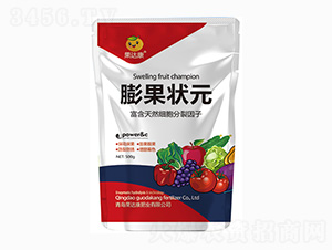 �����Ԫ-���_(d��)���ʘI(y��)