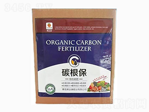 �ЙC̼��-̼����-���_���ʘI(y��)