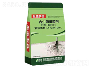 ��(n��i)����������-��������-���ѿƼ�