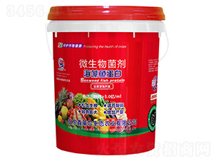 �����~����΢�������-���R��