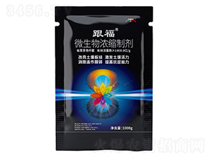 ����΢�����s�Ƅ�-�̩