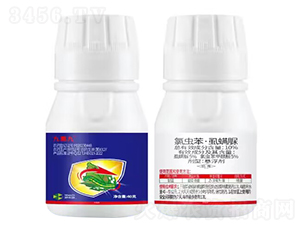 10%���x����ʭ����Ҹ�����40�ˣ�-���ؾ�-Ȥ�r(n��ng)�r(n��ng)�I(y��)