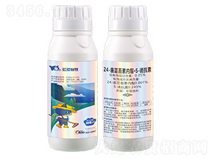 0.25%24-���|̦�؃�(n��i)����S-�T���ؿ���Һ��300g-�{؈�ǻ�