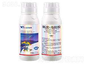 20%���졤�R��������-�{(l��n)؈�ǻ�