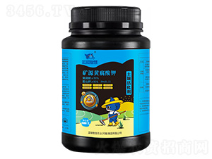 �VԴ�S������������-�{(l��n)؈�ǻ�