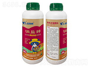 �����ή�}���}�{(di��o)�턩-���}��-�{(l��n)؈�ǻ�