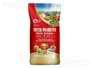 10�|���΢�������-����