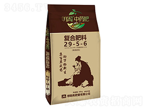 ��(f��)�Ϸ���29-5-6-�_����ˎ��-����˹