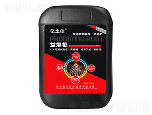 �汬��-�|����-����