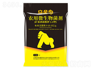 �����r(n��ng)��΢�������-��ɫ���B(t��i)