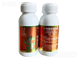 14-�u���|̦���޴�100g-�|̩��-�G������