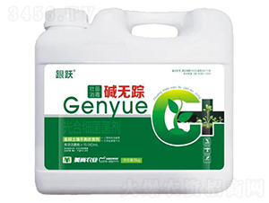 ���������A�o(w��)ۙ-���S-�����r(n��ng)�I(y��)