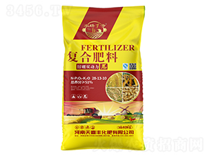 �\���p�����ͺϷ���28-13-10-��ϲ�S