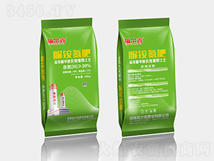 �������ȩ���@����-������