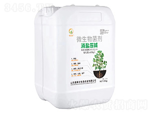 ΢�������-���}���A-���R��