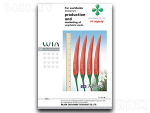 ��t��̖���콷�N��-���W�N��