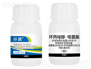 280��/���h(hu��n)���򴼡��׾���-���n-���N(y��n)�r(n��ng)�I(y��)