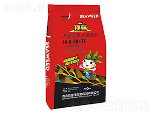 �������ʹ���Ԫ��ˮ�ܷ���14-6-38+TE-����Դ-�P��ï����