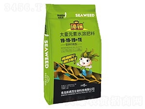 �I�B(y��ng)�����ʹ���Ԫ��ˮ�ܷ���19-19-19+TE-����Դ-�P��ï����