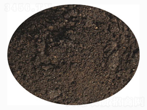 �޻����÷�-ӭ������