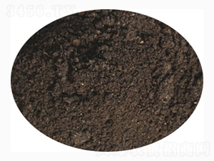 �R��������ЙC��-ӭ������