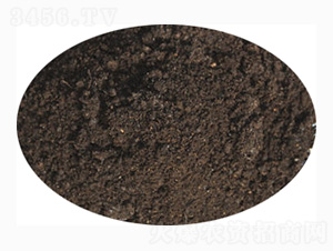 ���ЙC��-ӭ������