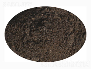 �t�팣(zhu��n)�÷�-ӭ������