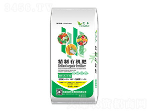 �����ЙC(j��)��-ӭ������