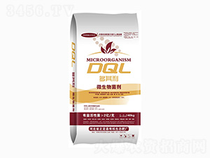 ΢�������-������-ӭ������