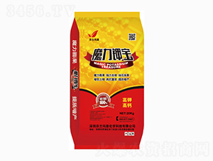 ��⛸��}-ħ���Ҍ�-���m����