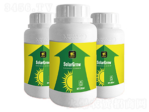 �������(qi��ng)��-�����_(d��)-�����_