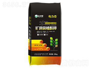 �����B(t��i)�VԴ��ֲ���-�|�S��-����̩