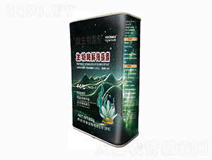 ����ø�⺣����-���{����-ǧ�~��400��-��˹�r