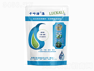 �ͺ�΢�������-ǧ�~����-��˹�r