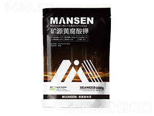 �VԴ�S�����-���{ɭ