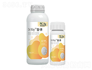 ΢��Ԫ��ˮ�ܷ�-�ǡ��B(y��ng)-�¼s�r(n��ng)��