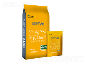 ����Ԫ��ˮ�ܷ�-��Ȼ�Z�}(c��ng)��V8CLSSIC-�¼s�r(n��ng)��