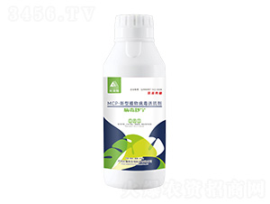 MCP-����ֲ�ﲡ���T����-�����挎-������