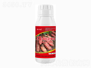 �t�����߮a(ch��n)��-������-��������