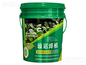 ���Z����-��˹�Z