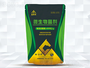 600�|���΢�������-���ͬ�