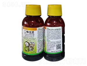 330��ÿ���������`-������-�l(xi��ng)�弾�L-���˹����r(n��ng)��