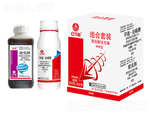 �M�����b�����x��Q������-�t�f��-�l(xi��ng)�弾�L(f��ng)-���˹����r(n��ng)��