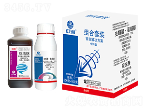 ���x��Q����-�M�����b-�t�f��-�l(xi��ng)�弾�L(f��ng)-���˹����r(n��ng)��