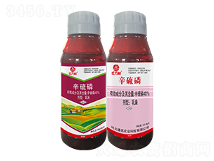 40%����������-�t�f��-�l(xi��ng)�弾�L-���˹����r��